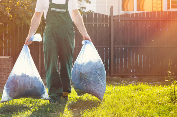 Best Basement Cleanout  in Elmhurst, IL